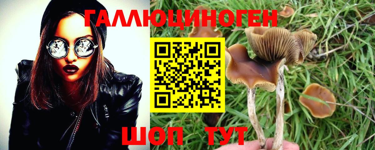 Галлюциногенные грибы мицелий  Вход с VPN  Урус-Мартан 